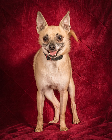 Foster Kiwi-8348