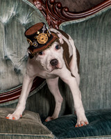 Foster Luna-4673