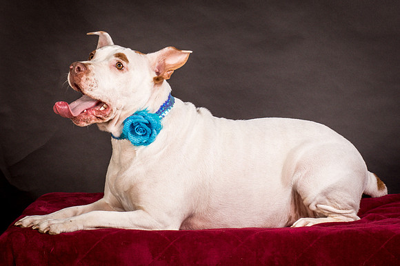 Foster Joanie-0490