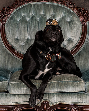 Butler-2832