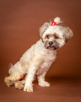 Foster Frida-9749