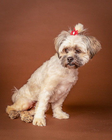 Foster Frida-9749