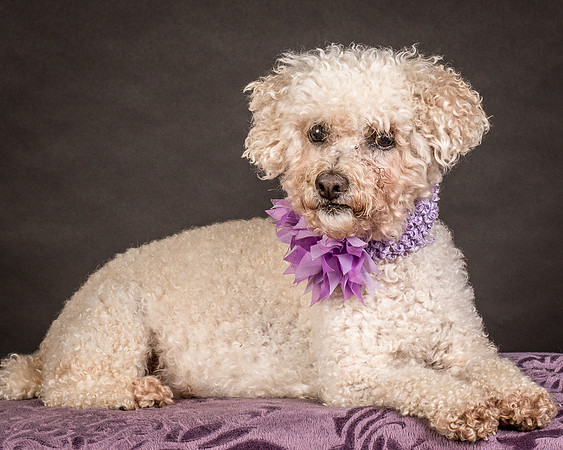 Foster Mae-9206