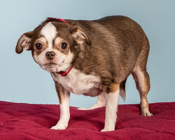 Foster Sophie-5220