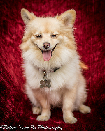 Foster Shirley-6089