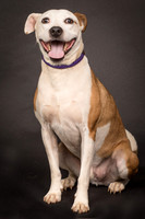 Foster Bowie-1247