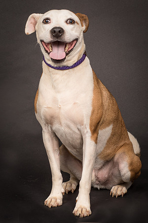 Foster Bowie-1247