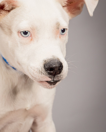 Foster Alvin-4758