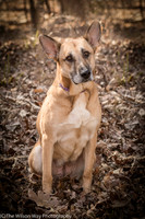 Foster Rita-2474