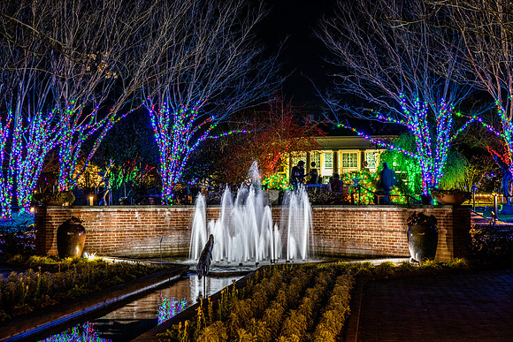 Christmas-2901