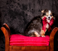 Foster Gabe-4416