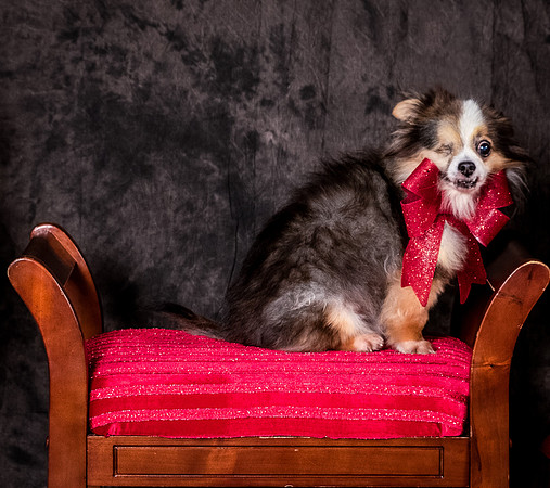 Foster Gabe-4416