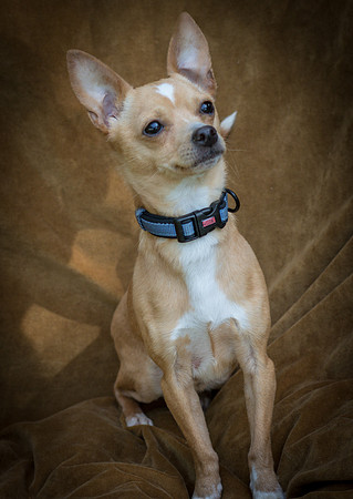 Foster Tony-8793