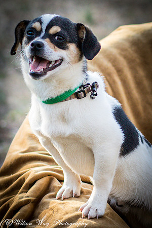 Foster Jethro-19
