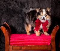 Foster Gabe-4402