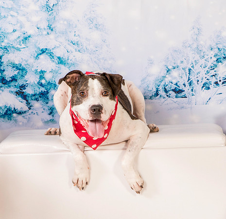 Foster Duke-0515