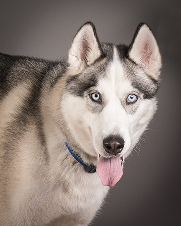 Foster Aspen-7615