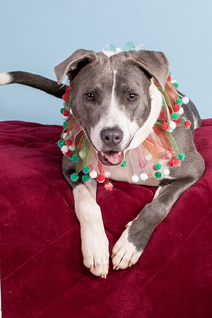 Foster Juliana-8095