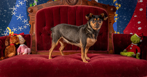 Foster Jolie-6494