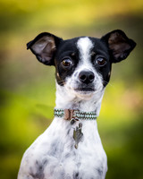 Foster Haylie-3984