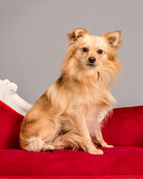 Foster Kree-4871