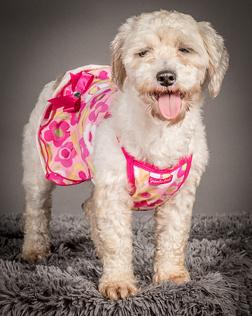Foster Everly-2242