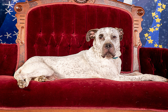 Foster Sylvester-0976