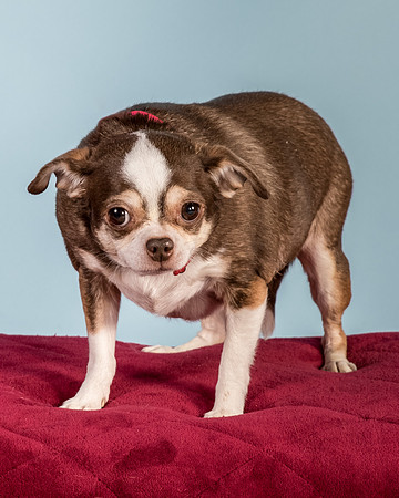 Foster Sophie-5218