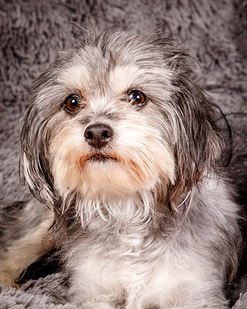 Foster Alex-6246