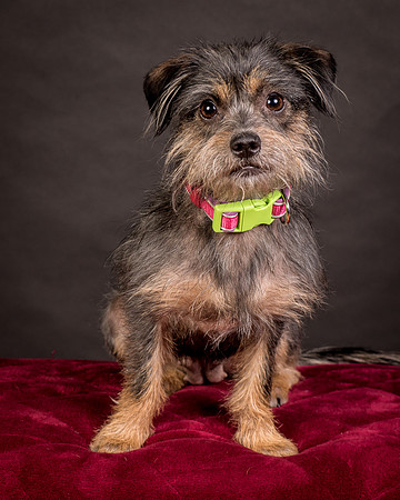 Foster Nadine-9624