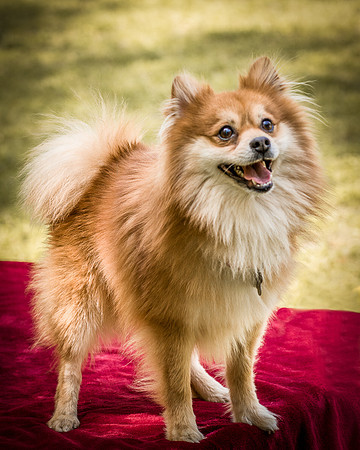 Foster Quincy-7722