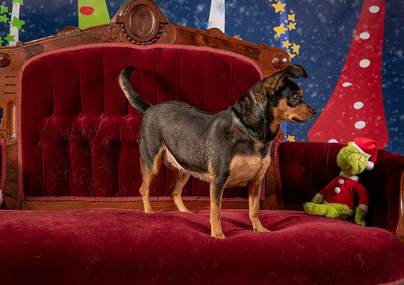 Foster Jolie-6475