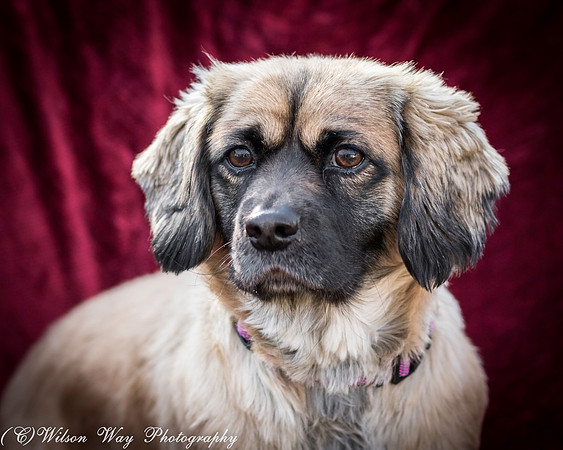 Foster Trudy-51