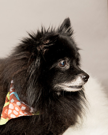 Foster Wayne-8054