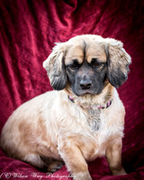 Foster Trudy-49