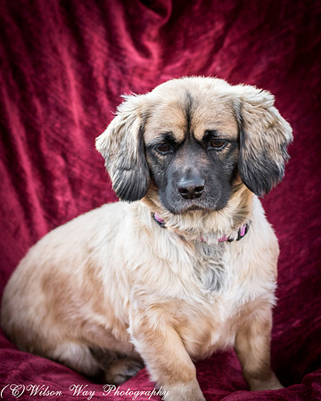 Foster Trudy-49