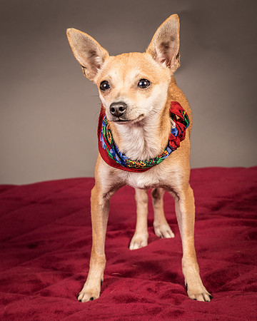 Foster Rosanna-3778