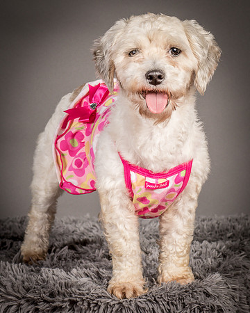 Foster Everly-2238