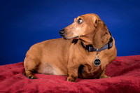 Abrams-Jimmy Dean-8204