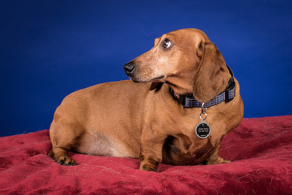 Abrams-Jimmy Dean-8204