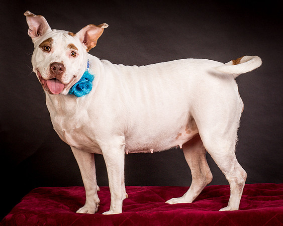 Foster Joanie-0457