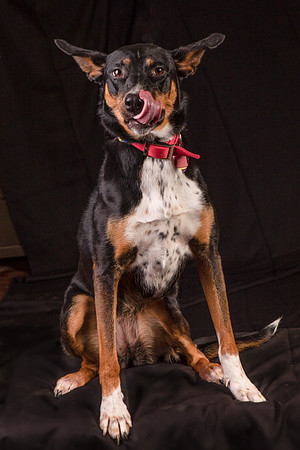 Foster Mia-1245