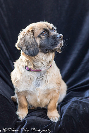 Foster Trudy-32
