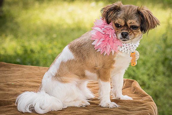 Foster Missy-0569