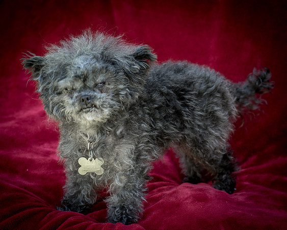 Foster Vivienne-9256