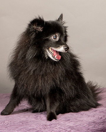 Foster Wayne-8264