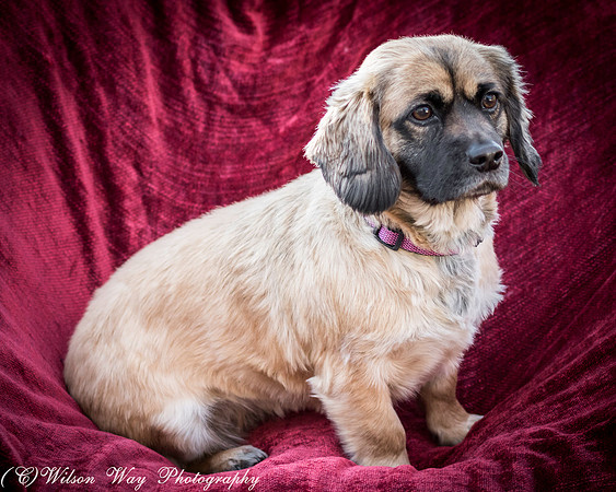 Foster Trudy-41