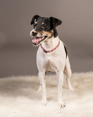 Foster Pollyanna-3955