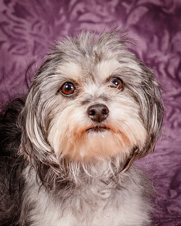 Foster Alex-6268