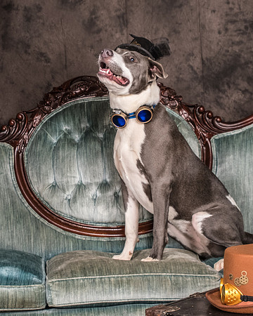 Foster Juliana-8046